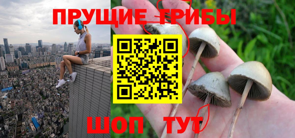 Галлюциногенные грибы Magic Shrooms Грозный