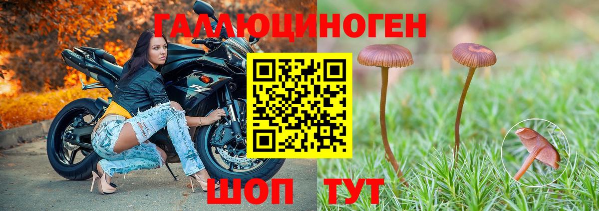 Псилоцибиновые грибы MAGIC MUSHROOMS  Вход с VPN  где найти   Галлюциногенные грибы Cubensis  Грозный 