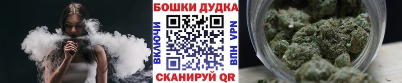 Канабис SATIVA & INDICA цена наркотик Грозный