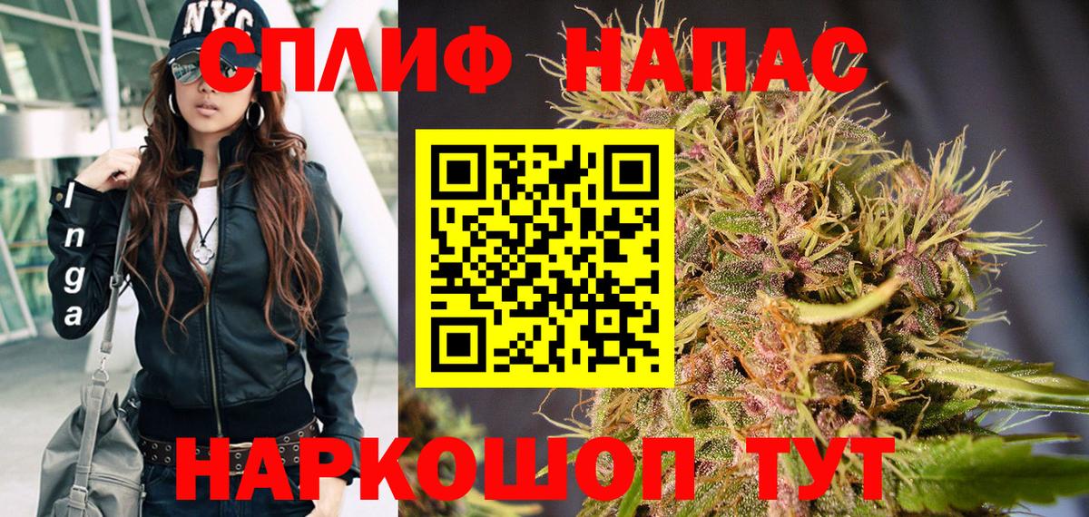 Шишки марихуана план  Бошки Шишки LSD WEED  Грозный  МАРИХУАНА план  МАРИХУАНА THC 21%  Вход с VPN 