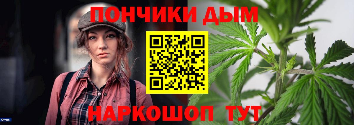 Бошки Шишки VHQ Грозный